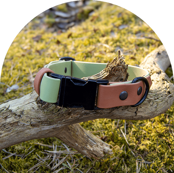 Ett grönt och brunt vattentätt, lätt att rengöra och justerbart halsband med svarta beslag. Tillverkat i BioThane-material.