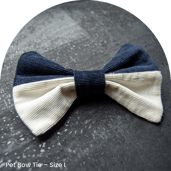 Pet Bow Tie - Na Na Na Na Navy!