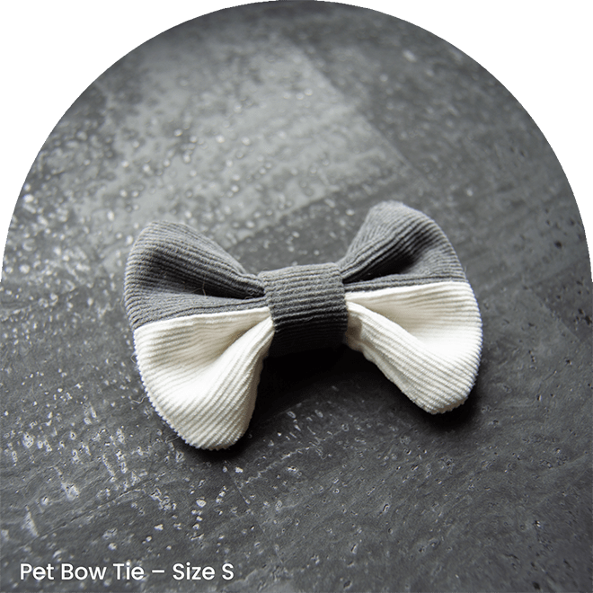 Bow Tie And Scrunchy Set - Shade 51st of Grey
