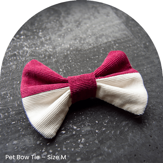 Pet Bow Tie - It Is Red