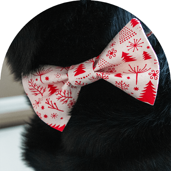 Julflugor för husdjur i röd och vit.