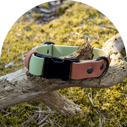 Ett grönt och brunt vattentätt, lätt att rengöra och justerbart halsband med svarta beslag. Tillverkat i BioThane-material.