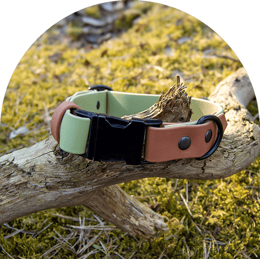Ett grönt och brunt vattentätt, lätt att rengöra och justerbart halsband med svarta beslag. Tillverkat i BioThane-material.