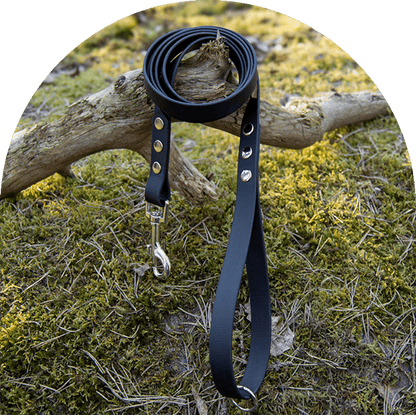 A waterproof, easy to clean dog leash in black with stainless steel hardware. Made with BioThane material.

Ett vattentätt, lätt att rengöra hundkoppel i pastellrosa med beslag i rostfritt stål. Tillverkad med BioThane-material.