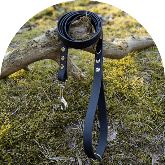 A waterproof, easy to clean dog leash in black with stainless steel hardware. Made with BioThane material.

Ett vattentätt, lätt att rengöra hundkoppel i pastellrosa med beslag i rostfritt stål. Tillverkad med BioThane-material.