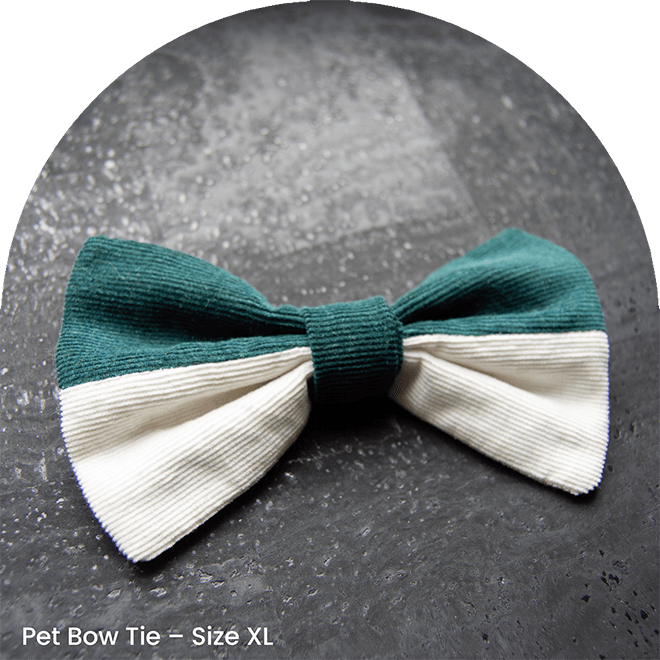 Pet Bow Tie - As Green As It Gets