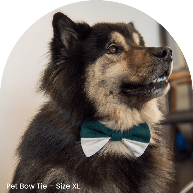 Bow Tie And Scrunchy Set - As Green As It Gets