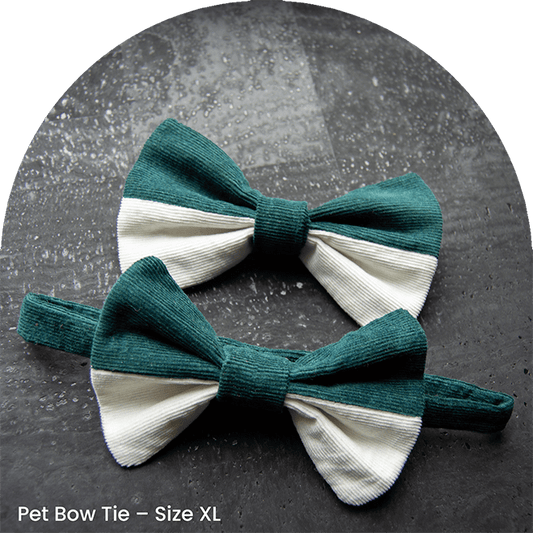Bow Tie Set - As Green As It Gets
