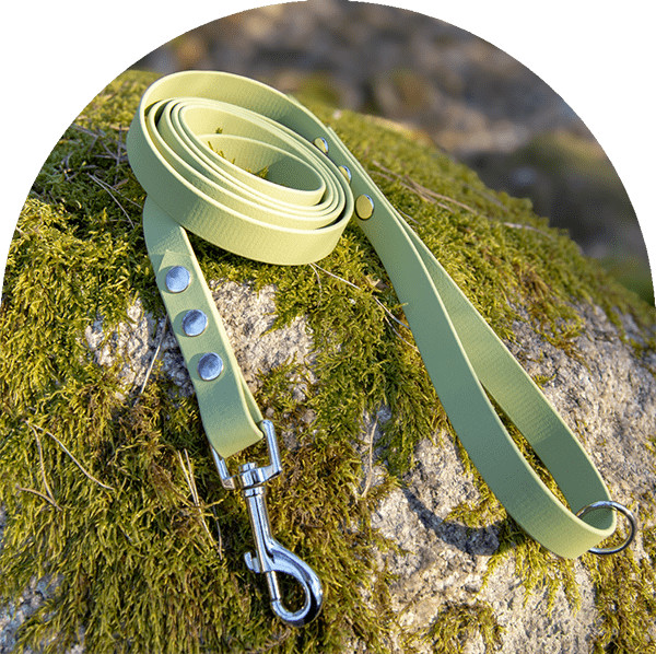 A waterproof, easy to clean dog leash in green with stainless steel hardware. Made with BioThane material.

Ett vattentätt, lätt att rengöra hundkoppel i grönt med rostfritt stål. Tillverkad med BioThane-material.
