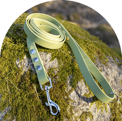 A waterproof, easy to clean dog leash in green with stainless steel hardware. Made with BioThane material.

Ett vattentätt, lätt att rengöra hundkoppel i grönt med rostfritt stål. Tillverkad med BioThane-material.
