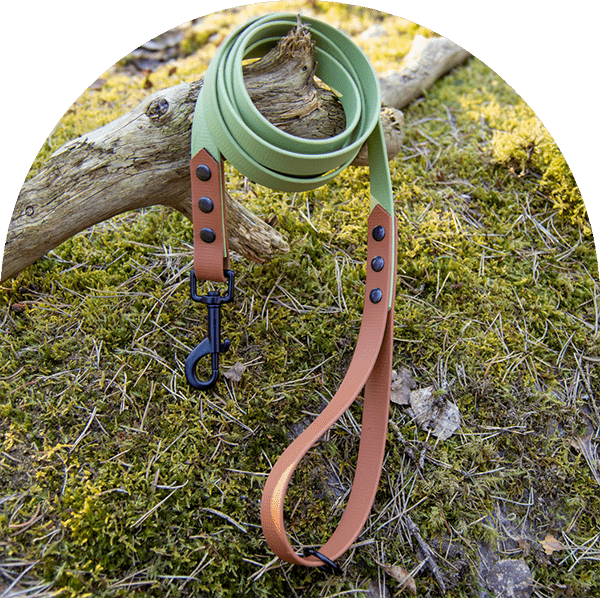 A waterproof, easy to clean dog leash, in two colors—green for the main part and brown on both ends—with black steel hardware. Made with BioThane material.

Ett vattentätt, lätt att rengöra hundkoppel, i två färger - grönt för huvuddelen och brunt i båda ändar - med svart stålbeslag. Tillverkad med BioThane-material.