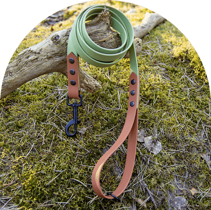 A waterproof, easy to clean dog leash, in two colors—green for the main part and brown on both ends—with black steel hardware. Made with BioThane material.

Ett vattentätt, lätt att rengöra hundkoppel, i två färger - grönt för huvuddelen och brunt i båda ändar - med svart stålbeslag. Tillverkad med BioThane-material.