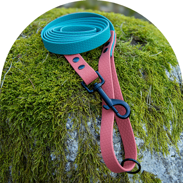 A waterproof, easy to clean dog leash, in two colors—green for the main part and orange on both ends—with black steel hardware. Made with Hexa-coated webbing (PVC).

Ett vattentätt, lätt att rengöra hundkoppel, i två färger – grön för huvuddelen och orange i båda ändar – med svart stålbeslag. Tillverkad med hexa-coated webbing (PVC).