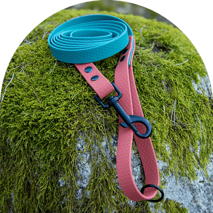 A waterproof, easy to clean dog leash, in two colors—green for the main part and orange on both ends—with black steel hardware. Made with Hexa-coated webbing (PVC).

Ett vattentätt, lätt att rengöra hundkoppel, i två färger – grön för huvuddelen och orange i båda ändar – med svart stålbeslag. Tillverkad med hexa-coated webbing (PVC).