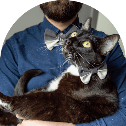 Pet Bow Tie - Shade 51st of Grey