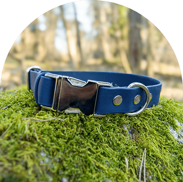 An image of a navy waterproof, easy to clean dog collar. The collar has silver hardware.

En bild av ett marinblått vattentät, lätt att rengöra hundhalsband. Halsbandet har silverbeslag.