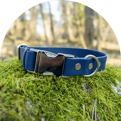 An image of a navy waterproof, easy to clean dog collar. The collar has silver hardware.

En bild av ett marinblått vattentät, lätt att rengöra hundhalsband. Halsbandet har silverbeslag.