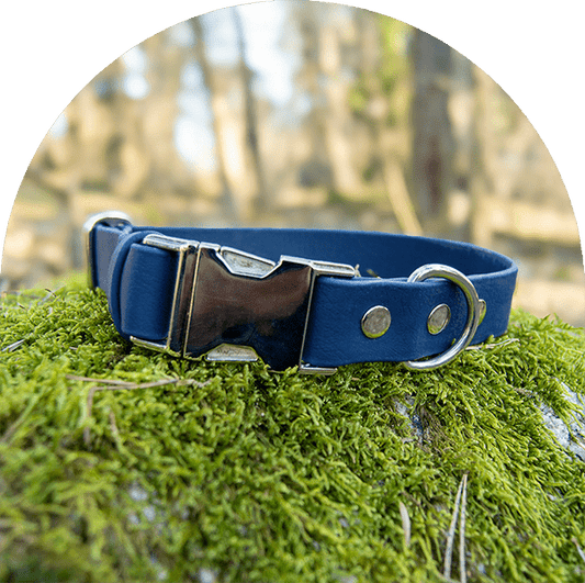 An image of a navy waterproof, easy to clean dog collar. The collar has silver hardware.

En bild av ett marinblått vattentät, lätt att rengöra hundhalsband. Halsbandet har silverbeslag.
