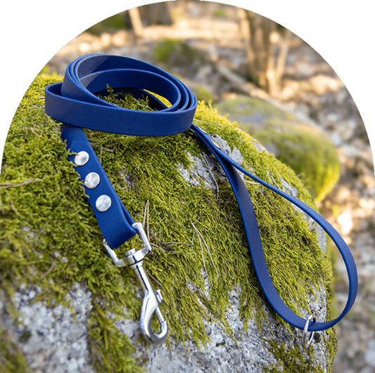 A waterproof, easy to clean dog leash in navy blue with stainless steel hardware. Made with BioThane material.

Ett vattentätt, lätt att rengöra hundkoppel i marinblått med rostfritt stål. Tillverkad med BioThane-material.