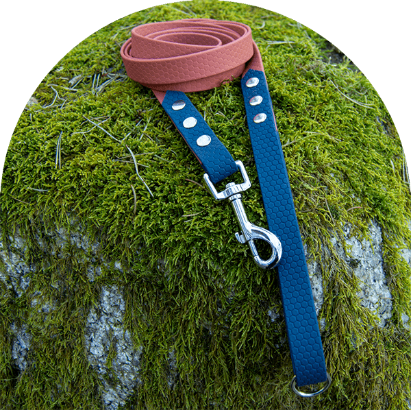 A waterproof, easy to clean dog leash, available in two colors—orange for the main part and navy blue on both ends—with stainless steel hardware. Made with Hexa-coated webbing (PVC).

Ett vattentätt, lätt att rengöra hundkoppel, tillgängligt i två färger - orange för huvuddelen och marinblått i båda ändar - med rostfritt stål. Tillverkad med hexabelagd webbing (PVC).