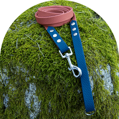 A waterproof, easy to clean dog leash, available in two colors—orange for the main part and navy blue on both ends—with stainless steel hardware. Made with Hexa-coated webbing (PVC).

Ett vattentätt, lätt att rengöra hundkoppel, tillgängligt i två färger - orange för huvuddelen och marinblått i båda ändar - med rostfritt stål. Tillverkad med hexabelagd webbing (PVC).