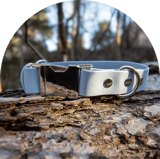 An image of a pastel blue waterproof, easy to clean dog collar.  The collar has silver hardware.

Ett pastellblått vattentätt, lätt att rengöra hundhalsband. Halsbandet har silverbeslag.