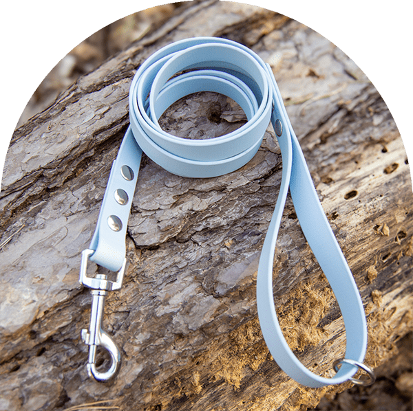 A waterproof, easy to clean dog leash in pastel blue with stainless steel hardware. Made with BioThane material.

Ett vattentätt, lätt att rengöra hundkoppel i pastellblått med rostfritt stål. Tillverkad med BioThane-material.