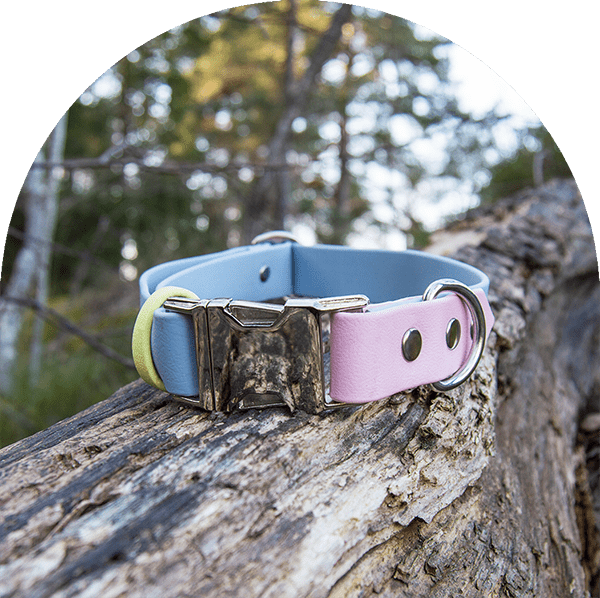 An image of a pastel pink, blue, and yellow waterproof, easy to clean dog collar.  The collar has silver hardware.

En bild av ett pastellrosa, blå och gul vattentät, lätt att rengöra hundhalsband. Halsbandet har silverbeslag.