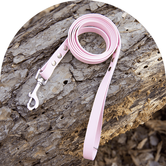 A waterproof, easy to clean dog leash in pastel pink with stainless steel hardware. Made with BioThane material.

Ett vattentätt, lätt att rengöra hundkoppel i pastellrosa med beslag i rostfritt stål. Tillverkad med BioThane-material.