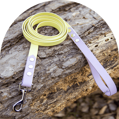 A waterproof, easy to clean dog leash, in two colors—pastel yellow for the main part and pastel purple on both ends—with stainless steel hardware. Made with BioThane material.

Ett vattentätt, lätt att rengöra hundkoppel, i två färger - pastellgul för huvuddelen och pastelllila i båda ändar - med rostfritt stål. Tillverkad med BioThane-material.