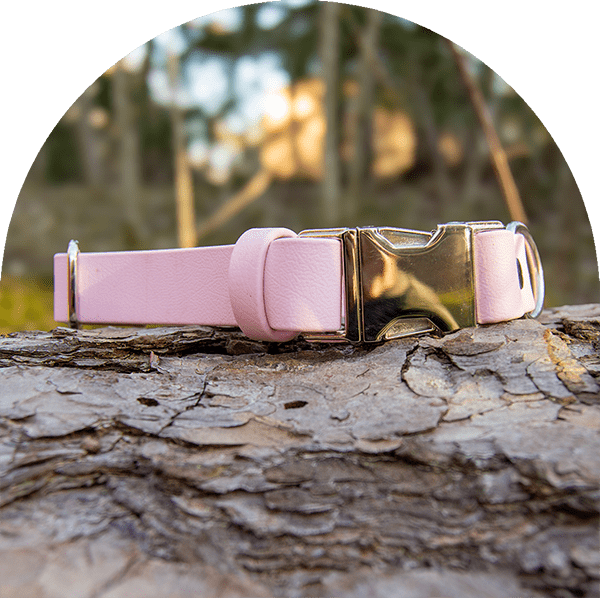An image of a pastel pink waterproof, easy to clean dog collar.  The collar has silver hardware.

En bild av ett pastellrosa vattentät, lätt att rengöra hundhalsband. Halsbandet har silverbeslag.