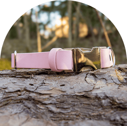 An image of a pastel pink waterproof, easy to clean dog collar.  The collar has silver hardware.

En bild av ett pastellrosa vattentät, lätt att rengöra hundhalsband. Halsbandet har silverbeslag.