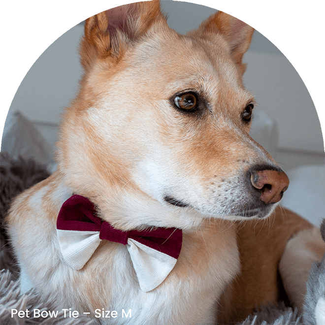 Bow Tie Set - It Is Red