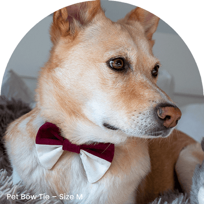 Bow Tie Set - It Is Red