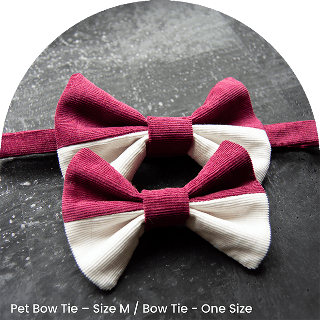 Bow Tie Set - It Is Red