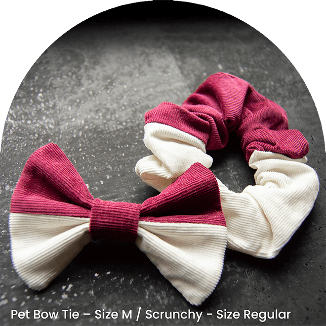Bow Tie And Scrunchy Set - It Is Red
