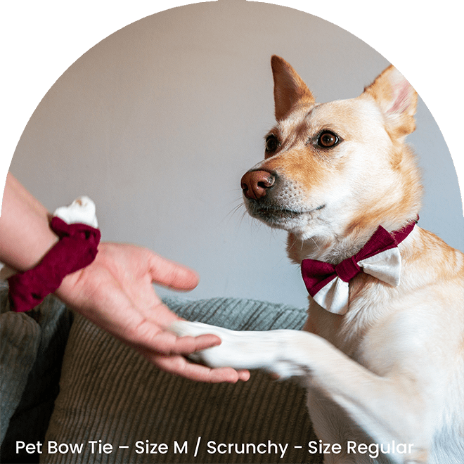 Bow Tie And Scrunchy Set - It Is Red