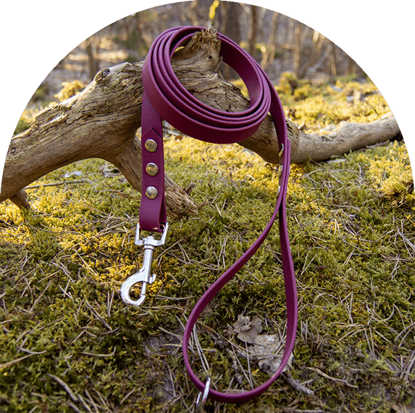 A waterproof, easy to clean dog leash in red wine with stainless steel hardware. Made with BioThane material.

Ett vattentätt, lätt att rengöra hundkoppel i rött vin med beslag i rostfritt stål. Tillverkad med BioThane-material.