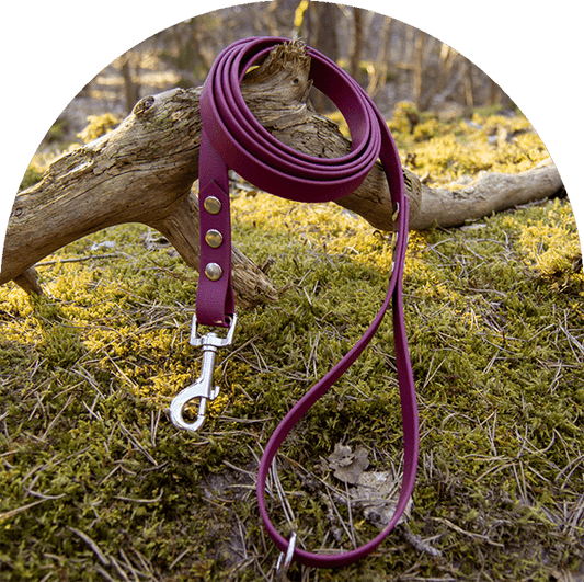 A waterproof, easy to clean dog leash in red wine with stainless steel hardware. Made with BioThane material.

Ett vattentätt, lätt att rengöra hundkoppel i rött vin med beslag i rostfritt stål. Tillverkad med BioThane-material.