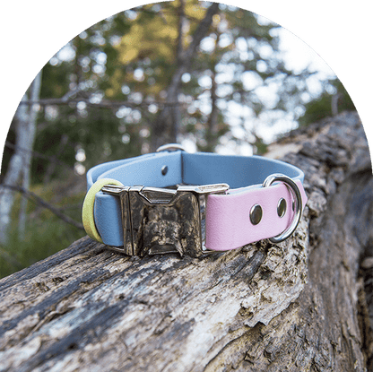 ett pastellblått, rosa och gult vattentätt, lätt att rengöra och justerbart halsband med rostfria beslag. Tillverkat i BioThane-material.