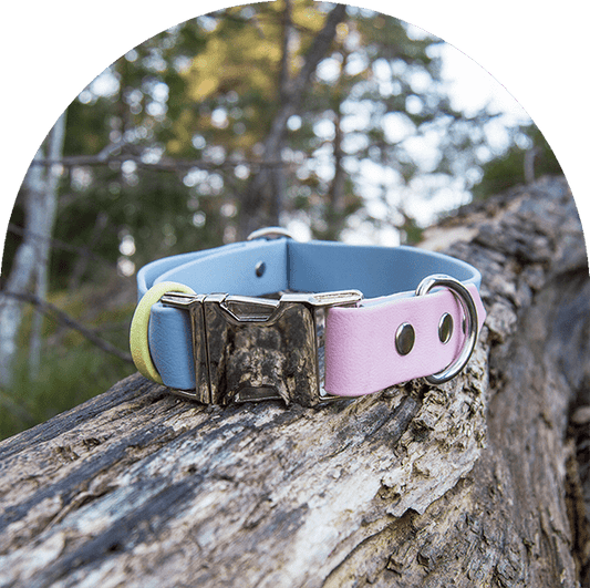 ett pastellblått, rosa och gult vattentätt, lätt att rengöra och justerbart halsband med rostfria beslag. Tillverkat i BioThane-material.