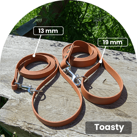 Vattentätt och lätt att rengöra hundkoppel i brunt med detaljer i rostfritt stål. Tillverkat i BioThane-material. Finns i 19 mm bredd och 2 meters längd.