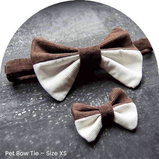 Bow Tie Set - Brownie