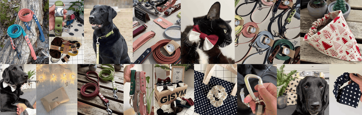 Waterproof pet collar and leash, handmade matching scarf, and scrunchie for pets and pet owners.
