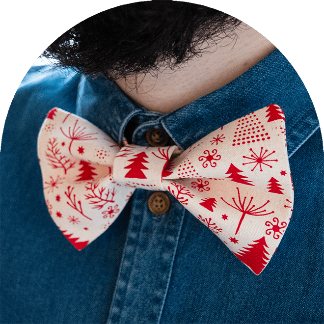 En julfluga i röd och vit för djurägare.