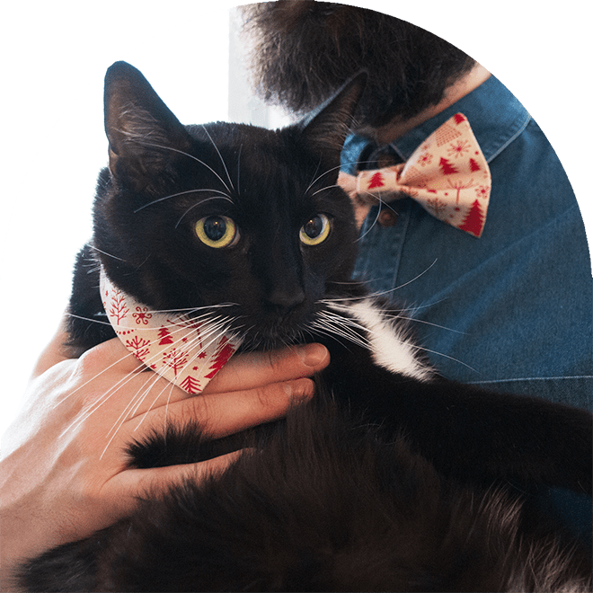 En svart och vit katt med husdjursbandana i rött och vitt som matchar med sin ägaresfluga.