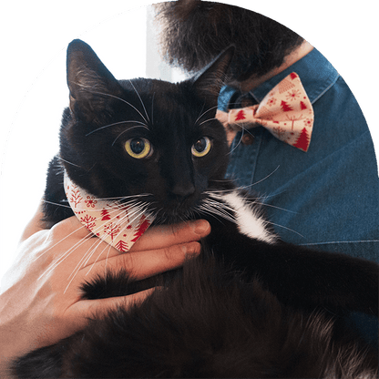 En svart och vit katt med husdjursbandana i rött och vitt som matchar med sin ägaresfluga.