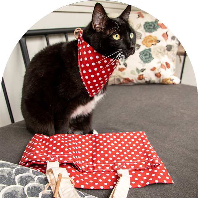 En svart och vit katt med en röd prickig bandana och en röd prickig tygkasse.