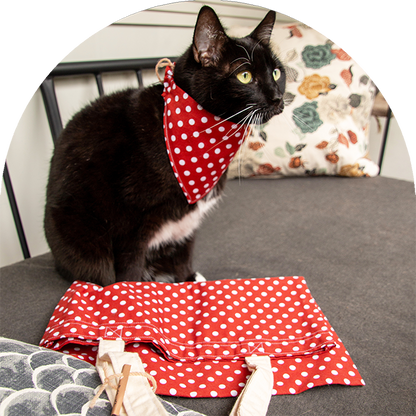 En svart och vit katt med en röd prickig bandana och en röd prickig tygkasse.