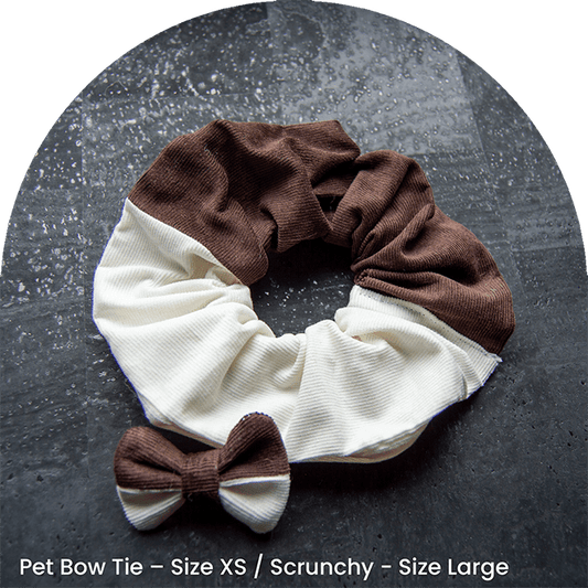 Matchande scrunchie för ägare och husdjursfluga, som ett set i brunt och vitt manchestertyg.